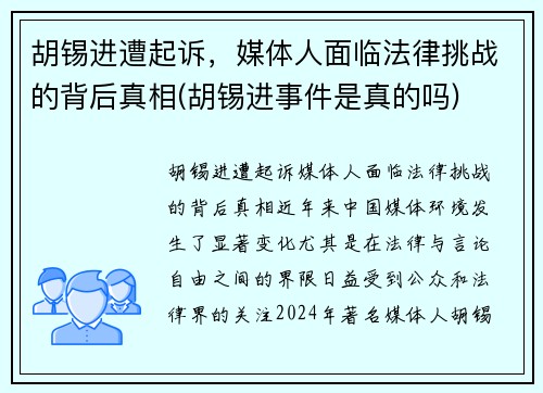 胡锡进遭起诉，媒体人面临法律挑战的背后真相(胡锡进事件是真的吗)